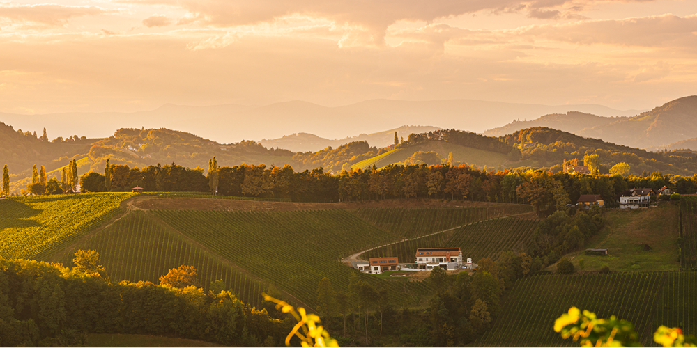 How to Build a Wine Club Designed for Retention