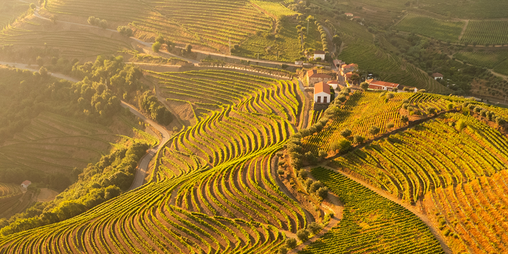How to Build Better Wine Club Retention in Between Shipments