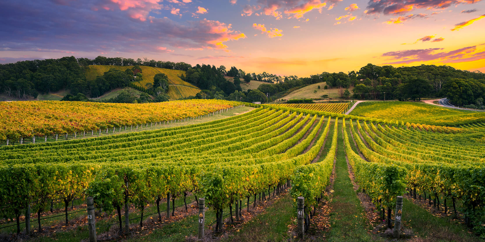 Why Better Tasting Rooms Start With Customer Data